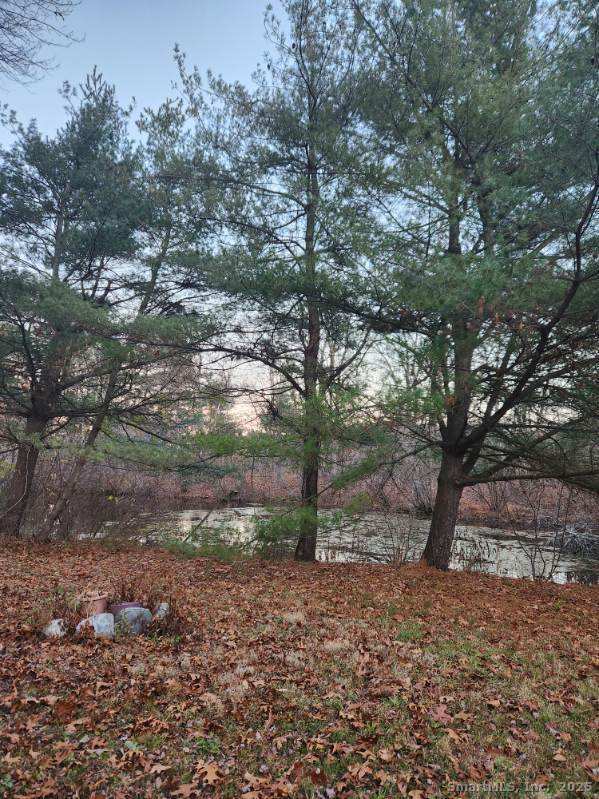 205 Camp, Plainville, 06062, 2 Bedrooms Bedrooms, 0 ,1 BathroomBathrooms,Residential Rental,For Sale,Camp,0,24141553