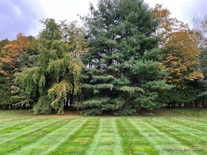 Homes for sale in Newington, CT | 212 Church St, Newington, CT 06111 | MLS# 24141664