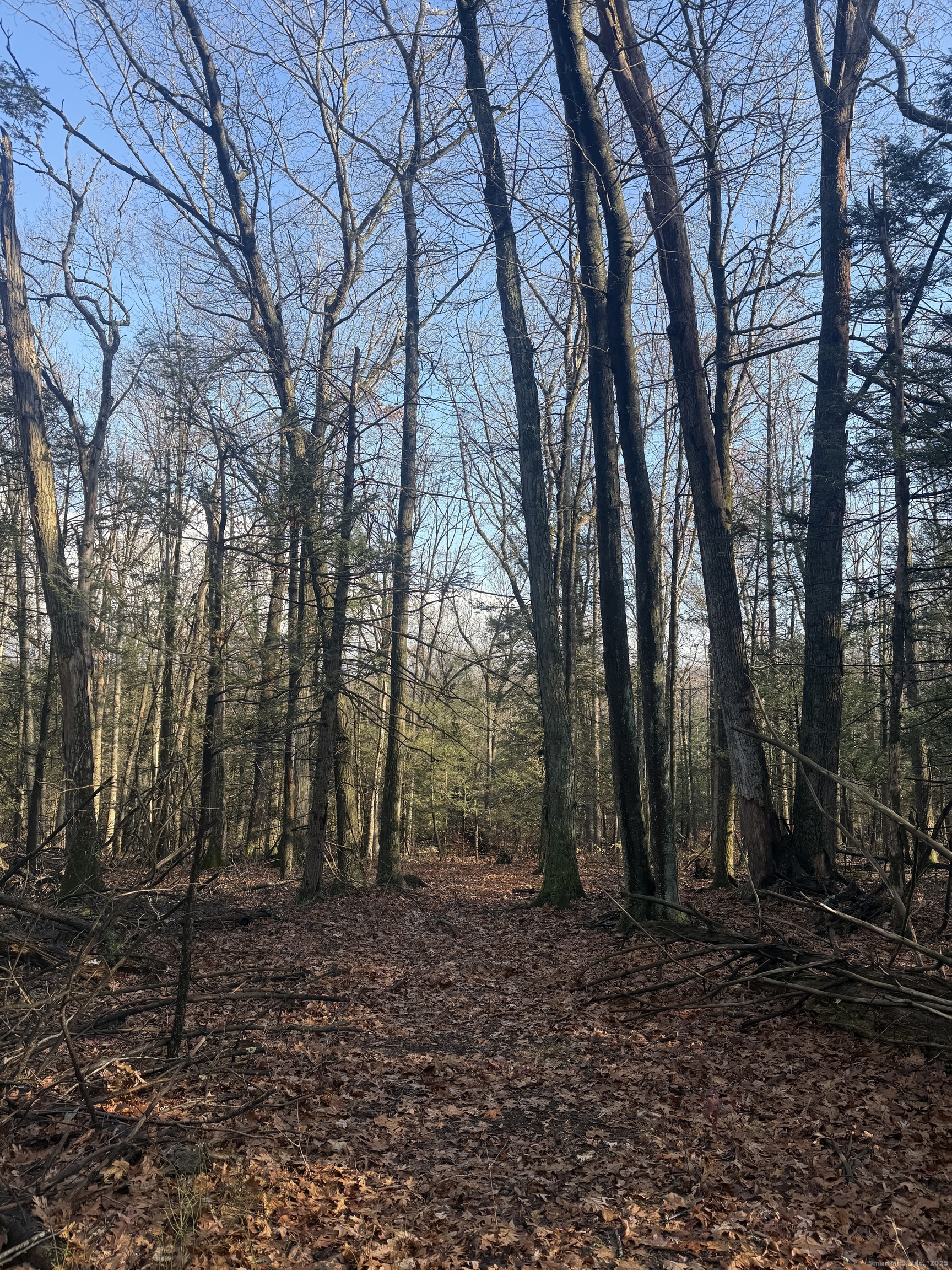 Homes for sale in Middletown, CT | Country Club Rd And Massa Tom Rd Rd E, Middletown, CT 06457 | MLS# 24141817