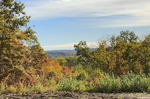 Homes for sale in Sharon, CT | Swaller Rd, Sharon, CT 06069 | MLS# 24141828