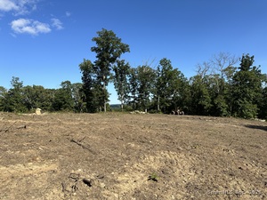 Homes for sale in Sharon, CT | Swaller Rd, Sharon, CT 06069 | MLS# 24141828