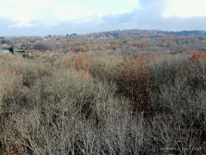 Homes for sale in Middletown, CT | Country Club Rd And Massa Tom Rd Rd E, Middletown, CT 06457 | MLS# 24141817