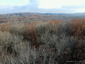 Homes for sale in Middletown, CT | Country Club Rd And Massa Tom Rd Rd E, Middletown, CT 06457 | MLS# 24141817