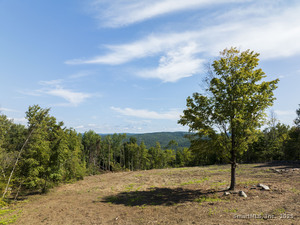 Homes for sale in Sharon, CT | Swaller Hill Rd, Sharon, CT 06069 | MLS# 24141835