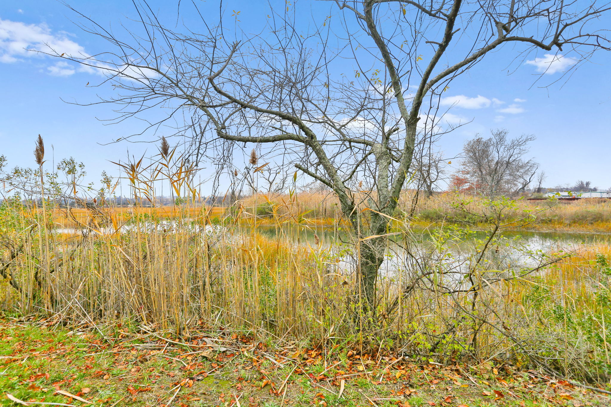 Homes for sale in Fairfield, CT | 1235 Fairfield Beach Rd, Fairfield, CT 06824 | MLS# 24141176