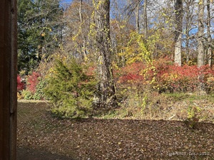 Homes for sale in Naugatuck, CT | 96 Round Hill Rd, Naugatuck, CT 06770 | MLS# 24141900