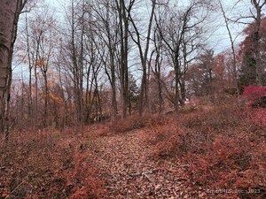 Homes for sale in Seymour, CT | 72d Walnut St, Seymour, CT 06483 | MLS# 24142125