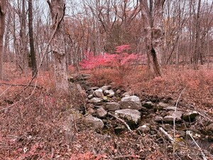 Homes for sale in Seymour, CT | 72D Walnut St, Seymour, CT 06483 | MLS# 24142125