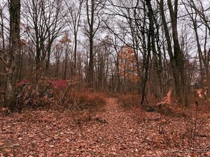 Homes for sale in Seymour, CT | 72D Walnut St, Seymour, CT 06483 | MLS# 24142125