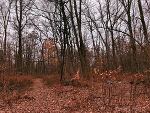 Homes for sale in Seymour, CT | 72D Walnut St, Seymour, CT 06483 | MLS# 24142125