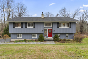 Homes for sale in Ridgefield, CT | 151 North St, Ridgefield, CT 06877 | MLS# 24141990
