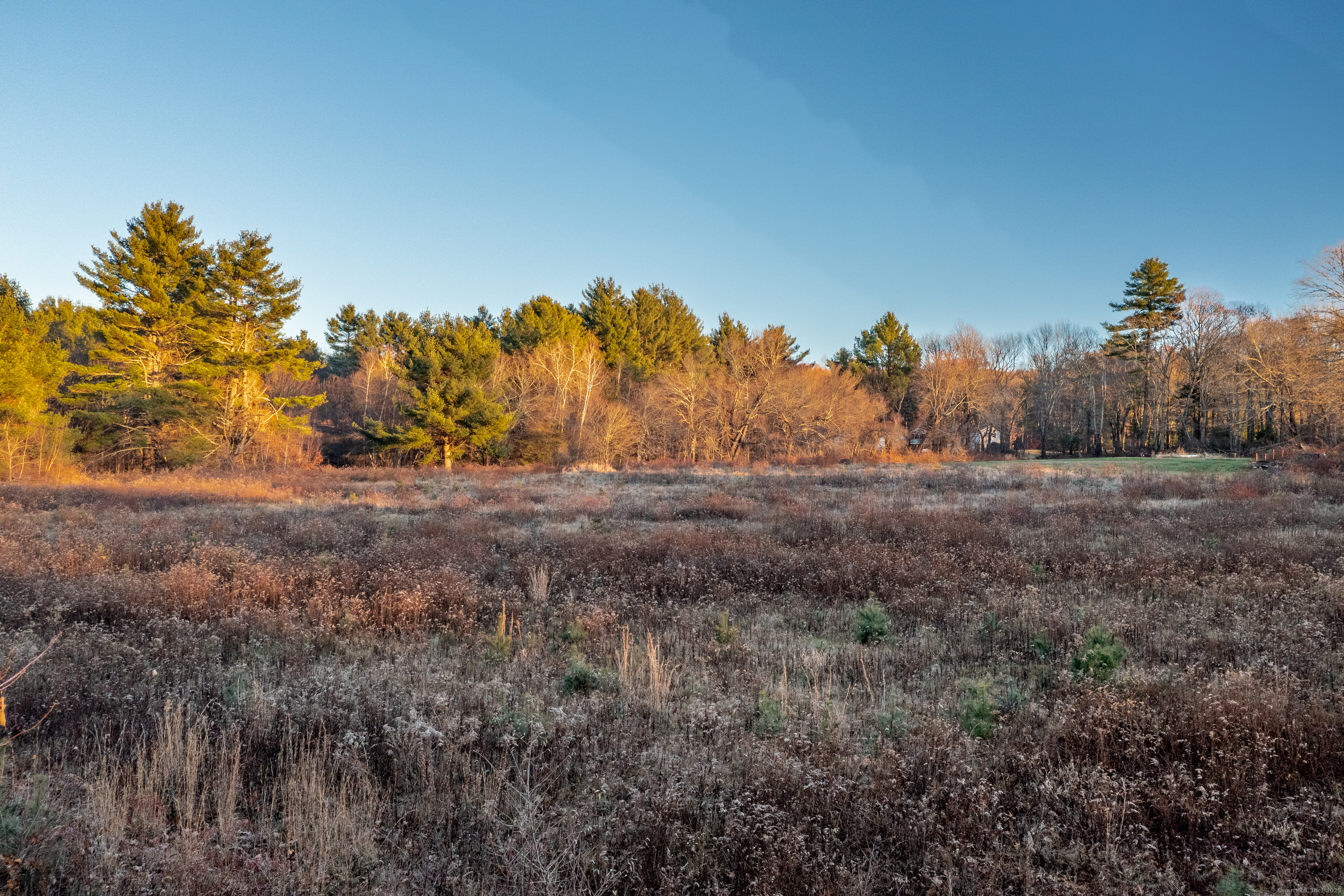 Homes for sale in Stafford, CT | 283 Leonard Rd, Stafford, CT 06076 | MLS# 24142484