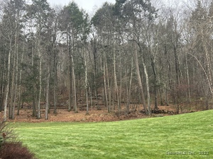 Homes for sale in Sherman, CT | 41 Long River Rd, Sherman, CT 06784 | MLS# 24141352