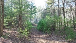 Homes for sale in Sterling, CT | 81 Deerfield Dr, Sterling, CT 06373 | MLS# 24142268