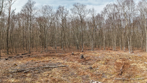 Homes for sale in Brooklyn, CT | Lot 12-1 Tripp Hollow Rd, Brooklyn, CT 06234 | MLS# 24142728