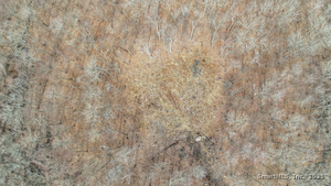 Homes for sale in Brooklyn, CT | Lot 12-1 Tripp Hollow Rd, Brooklyn, CT 06234 | MLS# 24142728