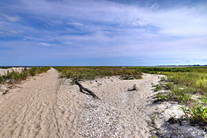 Homes for sale in Milford, CT | 3 Francis St, Milford, CT 06460 | MLS# 24142900