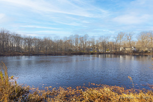 Homes for sale in Norwalk, CT | 133 Rowayton Woods Dr #133, Norwalk, CT 06854 | MLS# 24142501