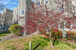 Homes for sale in Hamden, CT | 1412 Whitney Ave #APT F3, Hamden, CT 06517 | MLS# 24143028