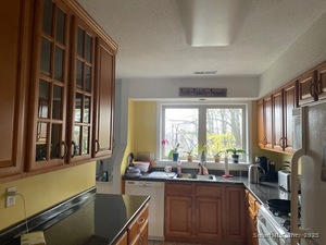 Homes for sale in New Haven, CT | (Undisclosed), New Haven, CT 06515 | MLS# 24143324