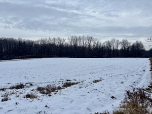 Homes for sale in Suffield, CT | 1095 S Grand St, Suffield, CT 06093 | MLS# 24141075