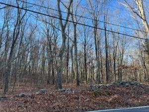 Homes for sale in Monroe, CT | 549 Cutlers Farm Rd, Monroe, CT 06468 | MLS# 24143332