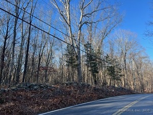 Homes for sale in Monroe, CT | 549 Cutlers Farm Rd, Monroe, CT 06468 | MLS# 24143332