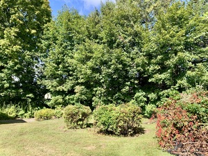 Homes for sale in Danbury, CT | 5 Green Ave, Danbury, CT 06810 | MLS# 24143196