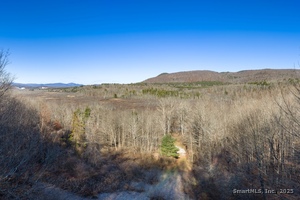 Homes for sale in Canaan, CT | 66 Barnes Rd, Canaan, CT 06031 | MLS# 24143612