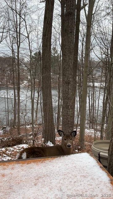 Homes for sale in Bristol, CT | 112 Ambler Rd, Bristol, CT 06010 | MLS# 24143700