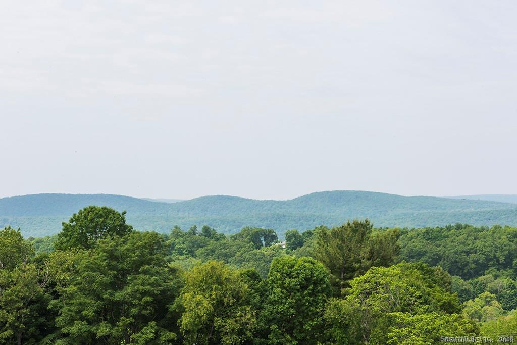 Homes for sale in New Milford, CT | 5 Tramita Ct, New Milford, CT 06776 | MLS# 24144029