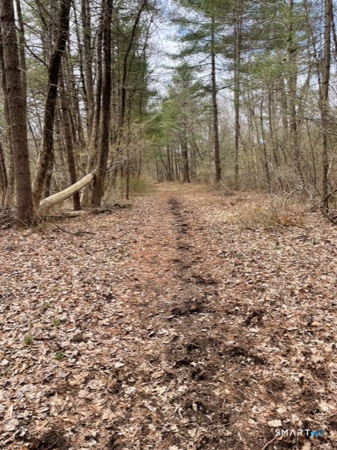 Homes for sale in Killingly, CT | 50 Brookside Dr, Killingly, CT 06241 | MLS# 24144344