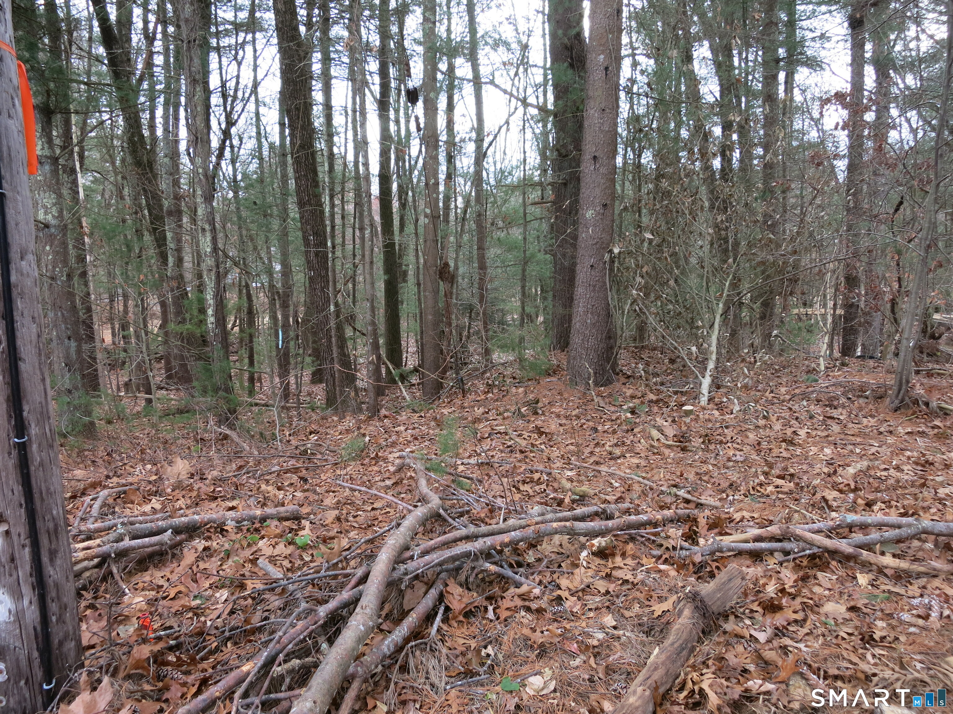 Homes for sale in East Haddam, CT | 0 White Sands Rd, East Haddam, CT 06423 | MLS# 24144466