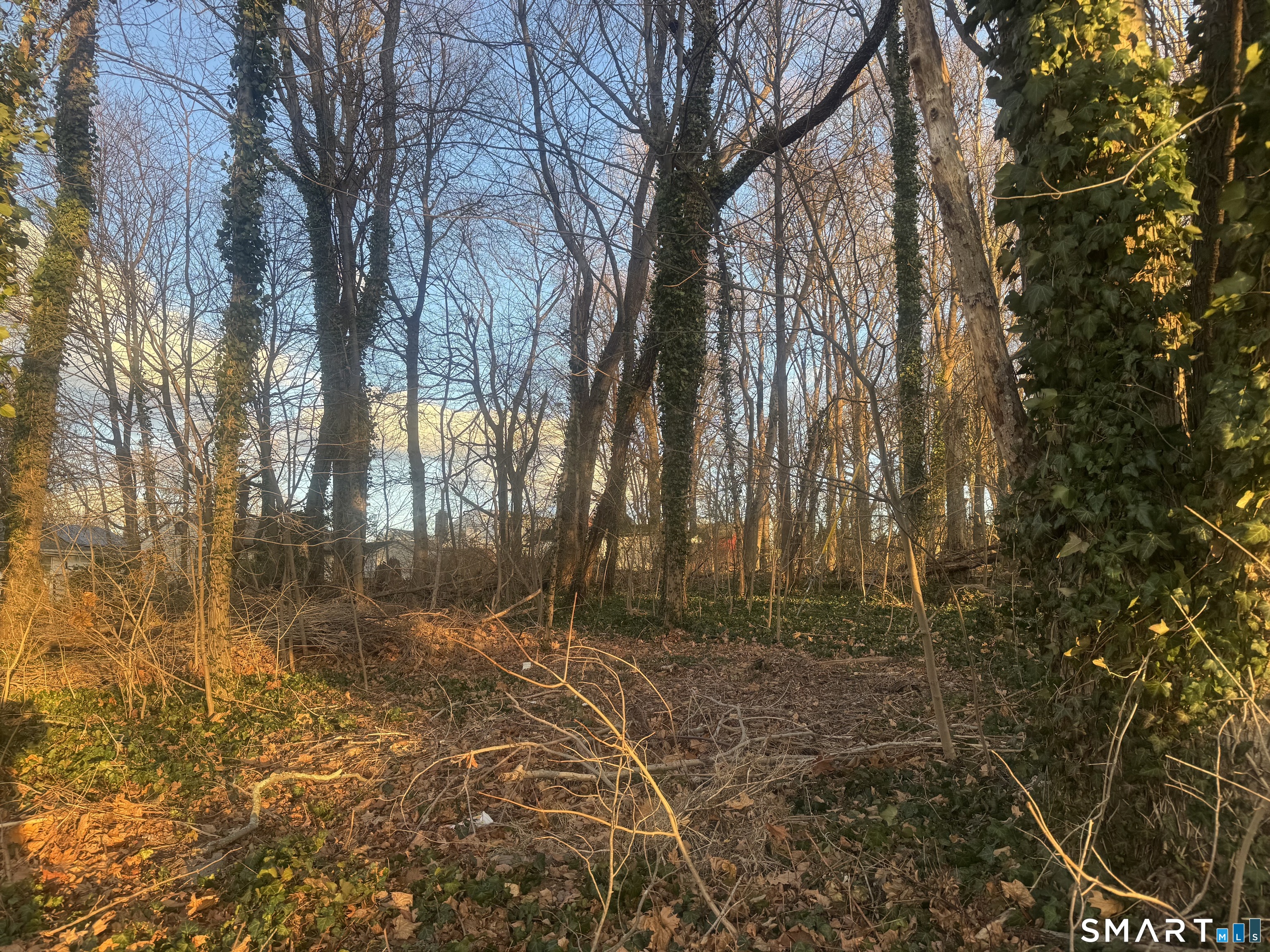 Homes for sale in Hamden, CT | 305 Grandview Ave, Hamden, CT 06514 | MLS# 24143227