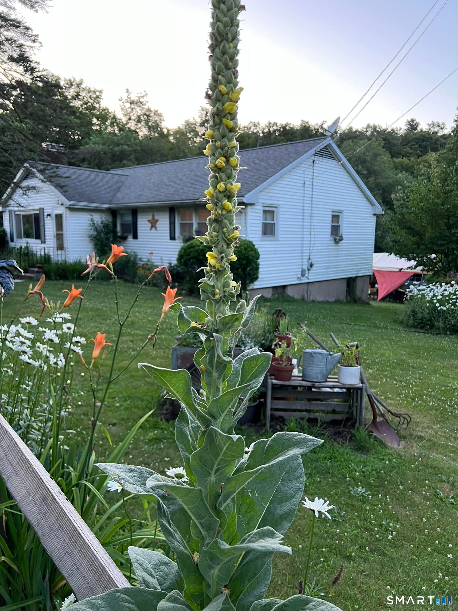 Homes for sale in Durham, CT | 270 Haddam Quarter Rd, Durham, CT 06422 | MLS# 24145063