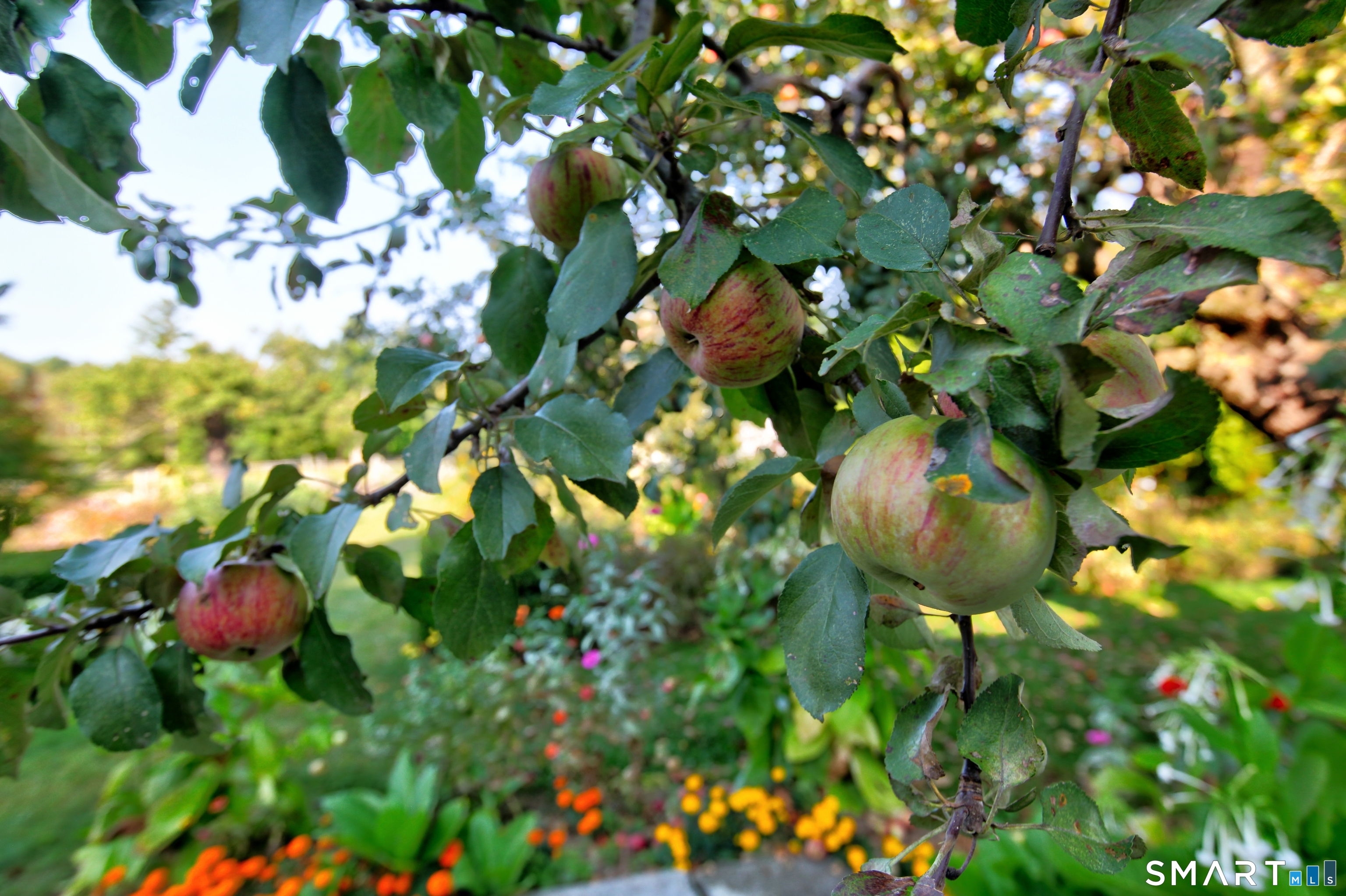 Homes for sale in New Marlborough, MA | 764 East Hill Rd, New Marlborough, MA 01230 | MLS# 24142076