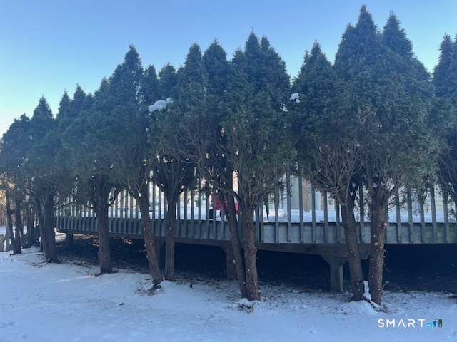 Homes for sale in East Haven, CT | 21 Carmen St, East Haven, CT 06512 | MLS# 24142794