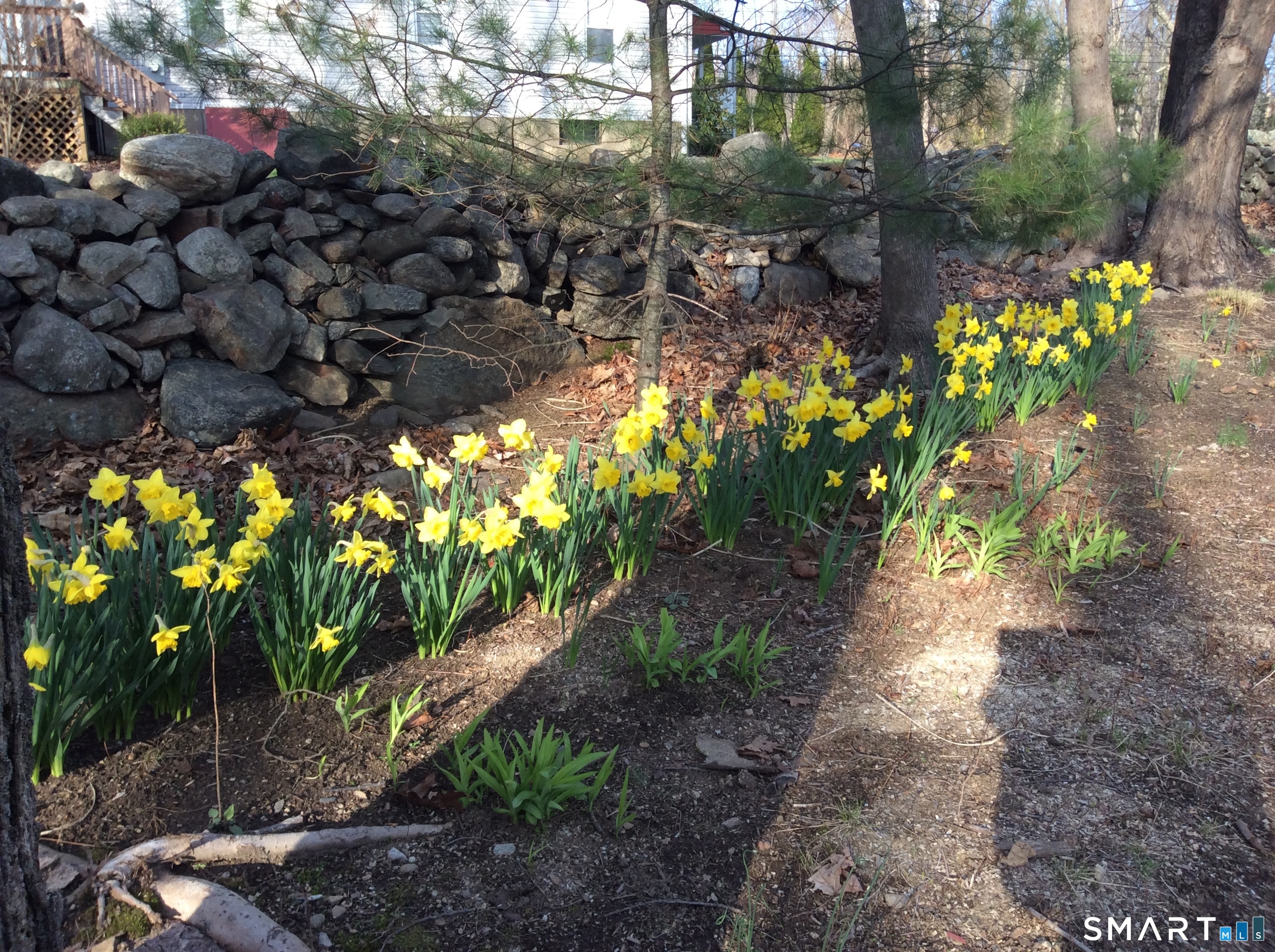 Homes for sale in Shelton, CT | 3 Maler Ave, Shelton, CT 06484 | MLS# 24139784