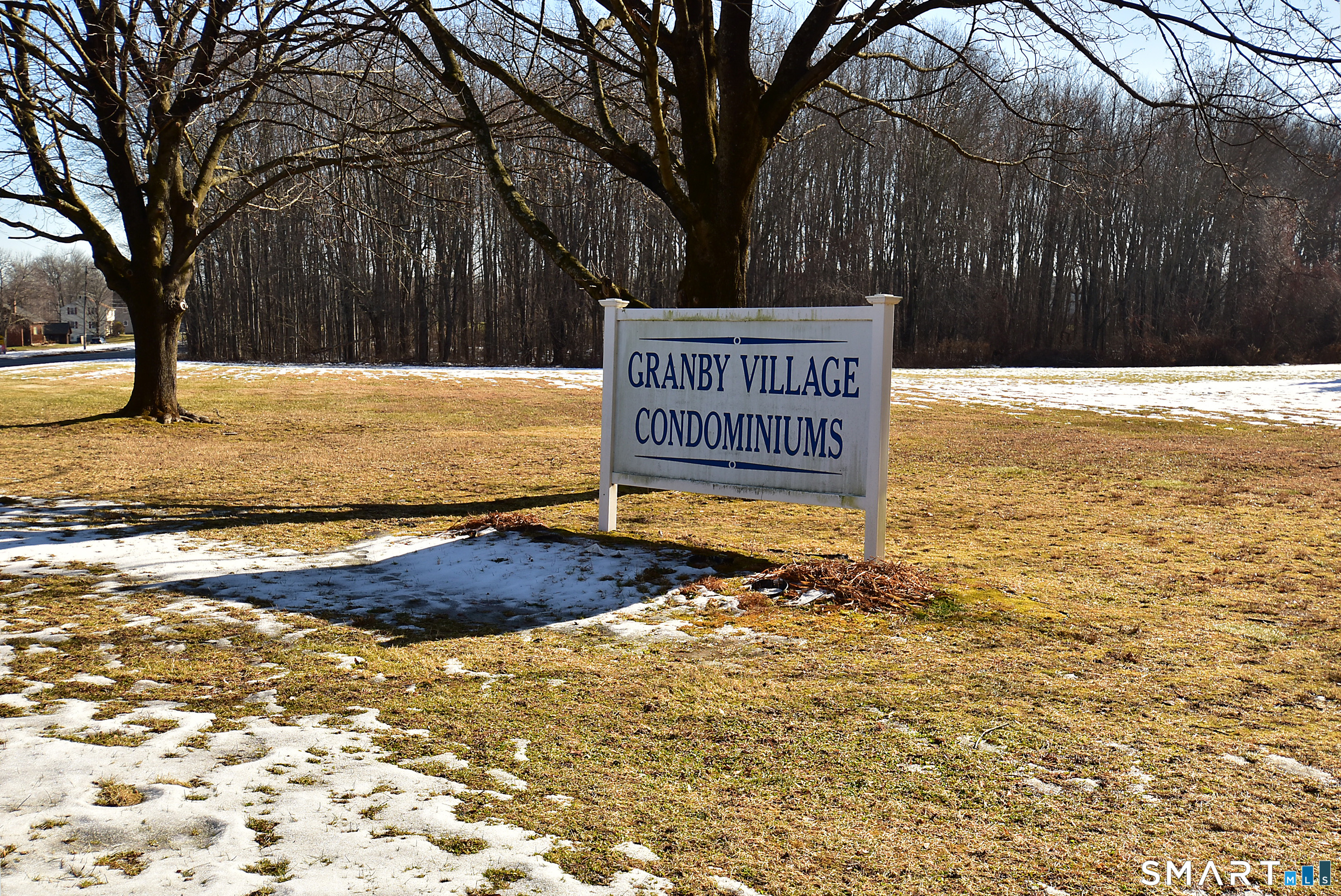 Homes for sale in East Granby, CT | 16 Seymour Rd #21C, East Granby, CT 06026 | MLS# 24145141