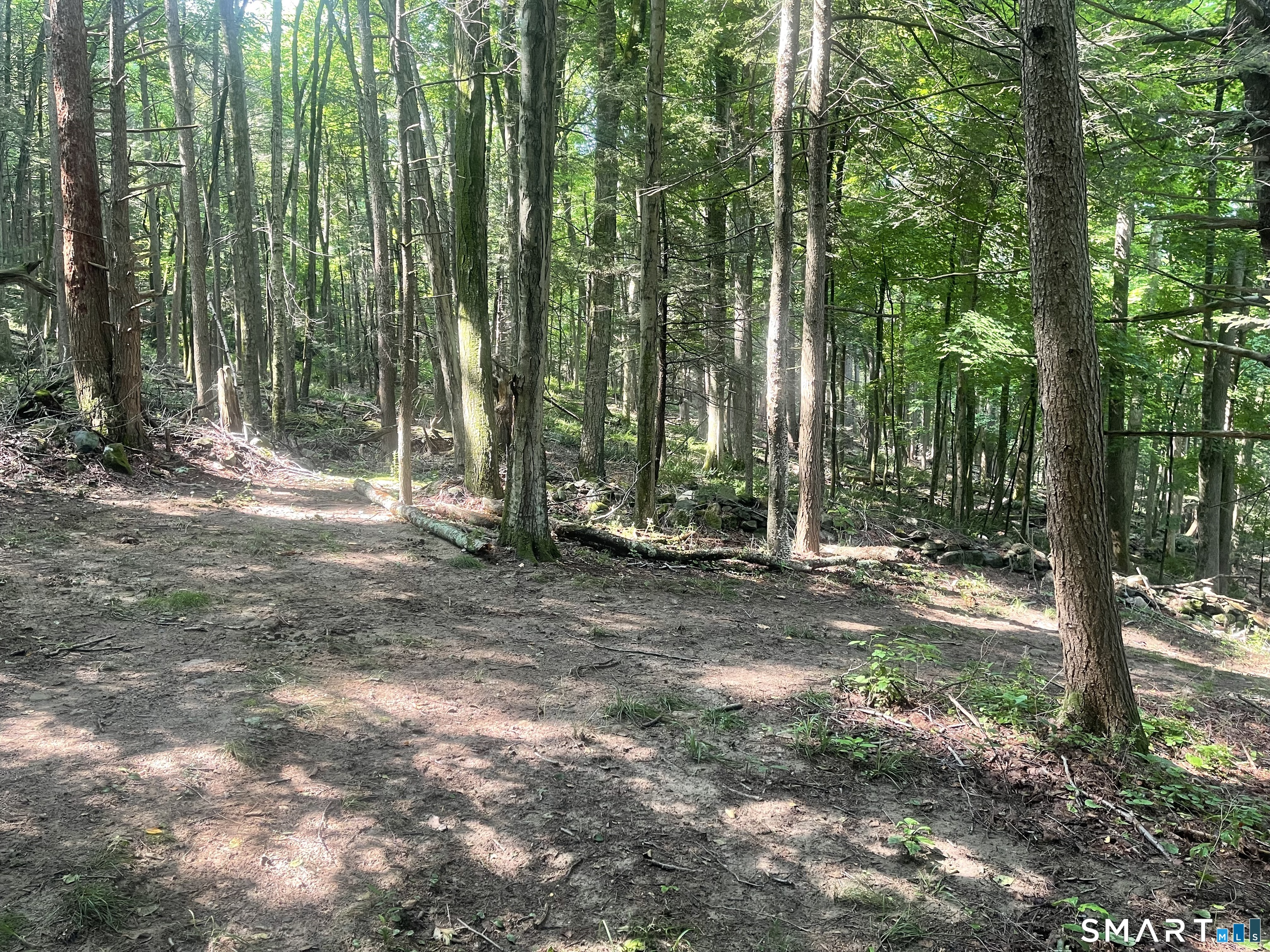 Homes for sale in Cornwall, CT | Railroad St, Cornwall, CT 06753 | MLS# 24145773