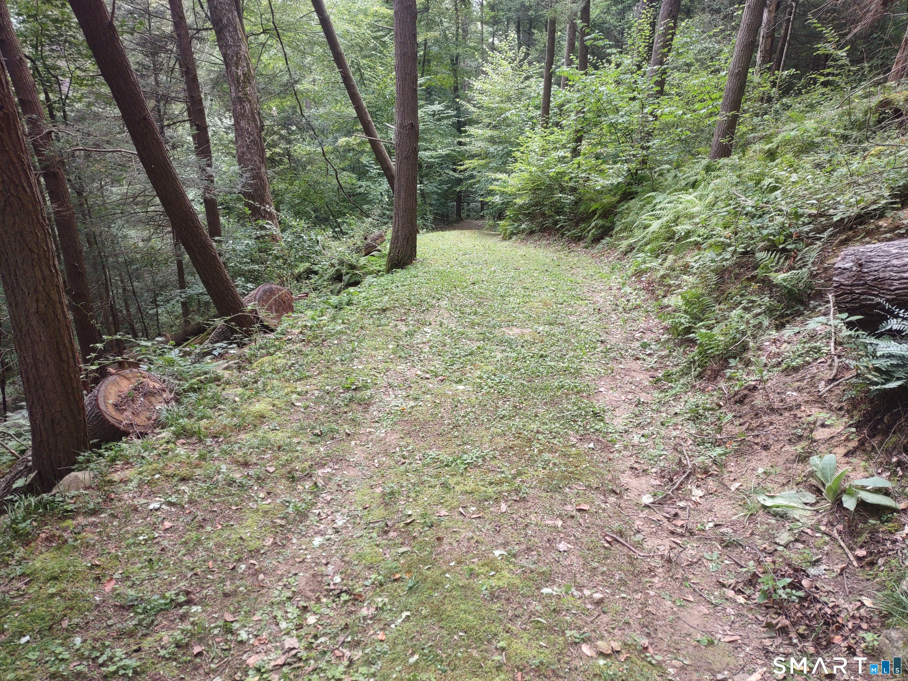 Homes for sale in Cornwall, CT | Railroad St, Cornwall, CT 06753 | MLS# 24145773