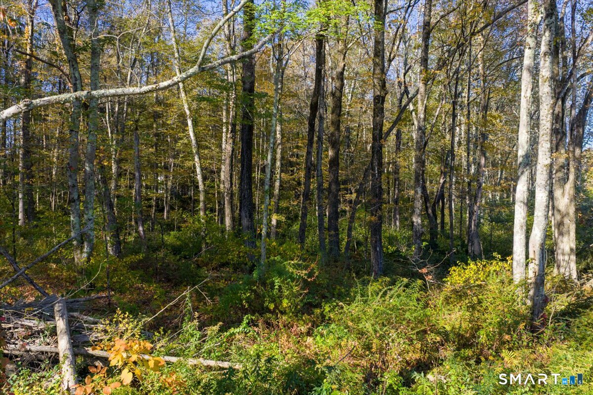 Homes for sale in Woodstock, CT | Lot 13A, Somers Turnpike, Woodstock, CT 06281 | MLS# 24145820