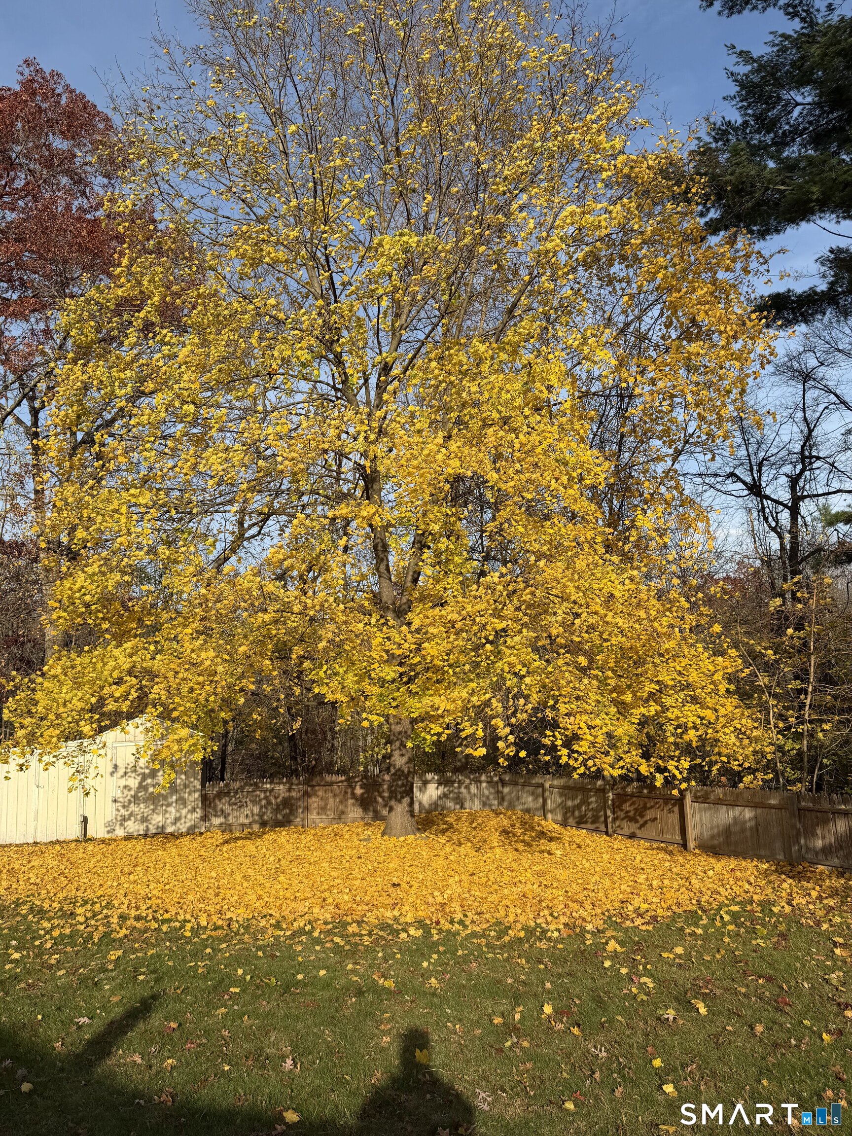 Photo 16 of 16 Hickory Lane, Plainville, CT