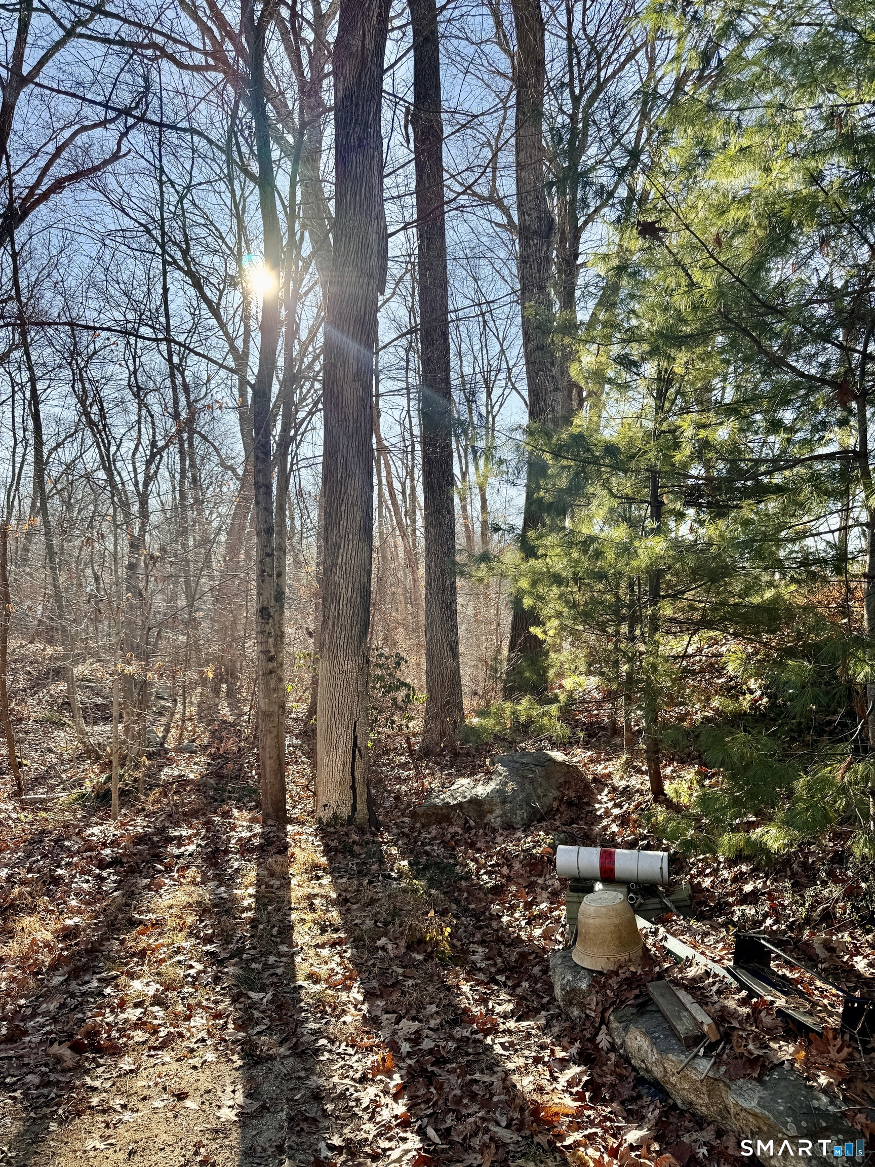 Homes for sale in Lebanon, CT | Ryan Ter, Lebanon, CT 06249 | MLS# 24144446