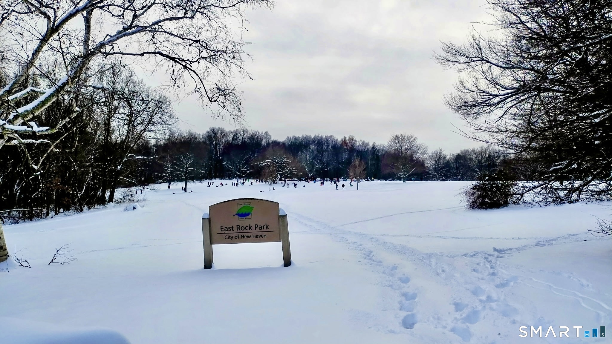 Homes for sale in Hamden, CT | 63 Park Rd, Hamden, CT 06517 | MLS# 24144079