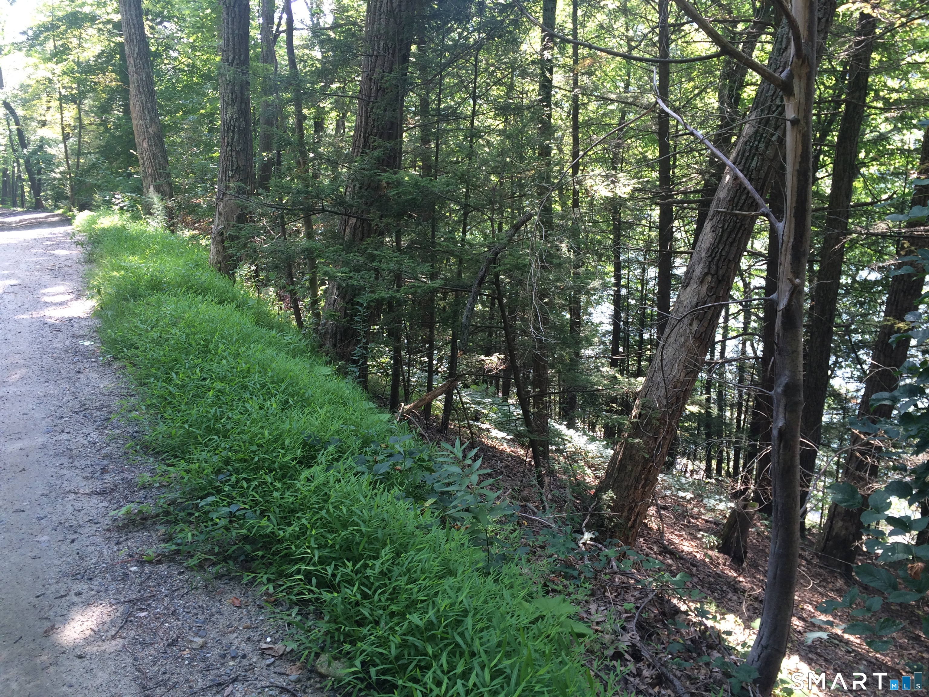 Homes for sale in Washington, CT | 92 E Shore Rd, Washington, CT 06777 | MLS# 24146993