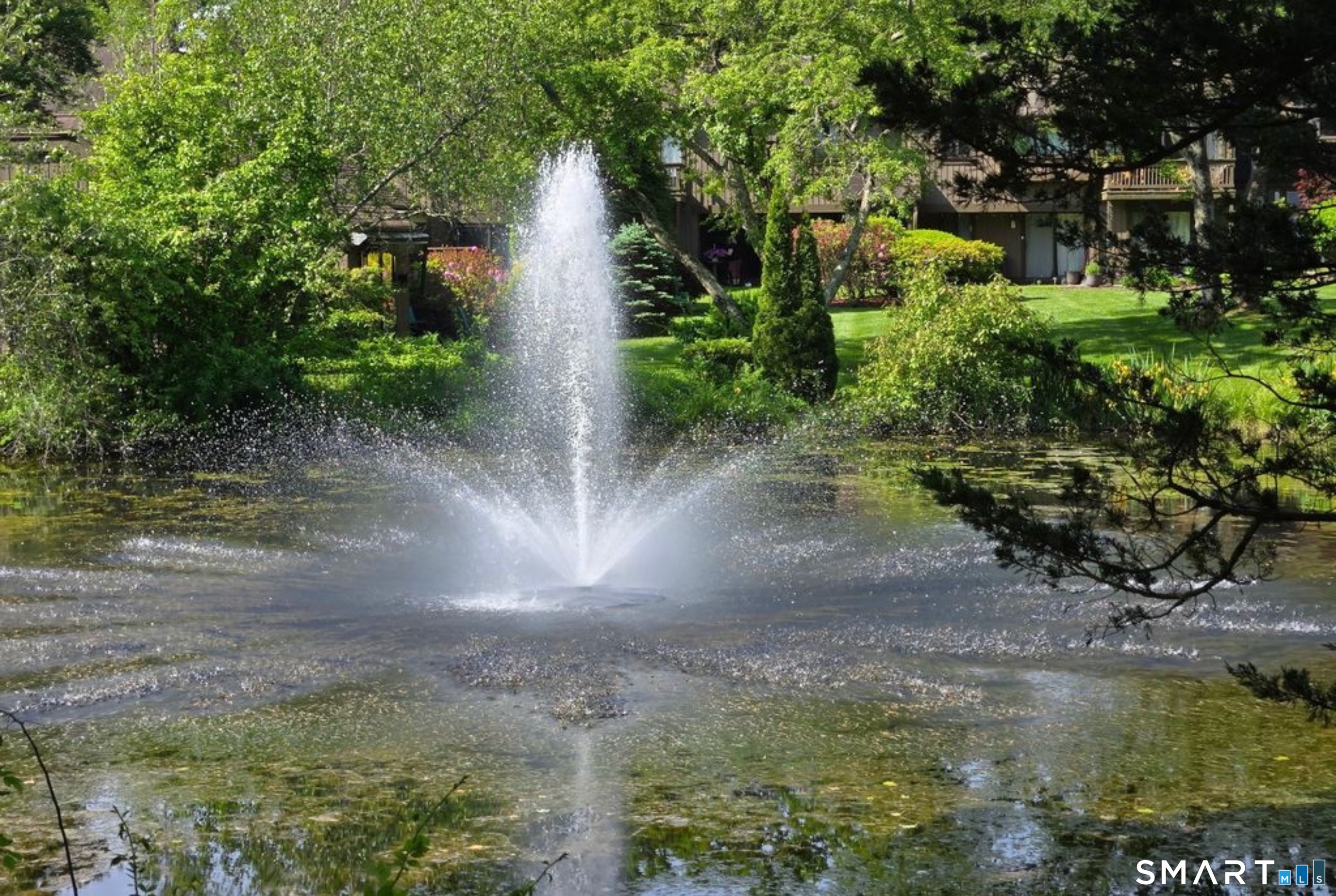 Homes for sale in Southbury, CT | 335 Heritage Vlg #B, Southbury, CT 06488 | MLS# 24147013