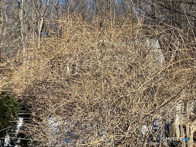 Homes for sale in Waterbury, CT | 1 Parsons Dr, Waterbury, CT 06708 | MLS# 24147525