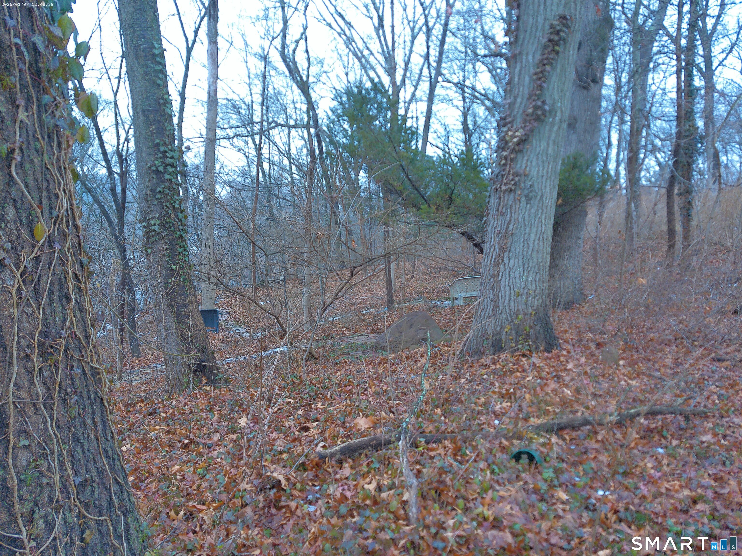 Homes for sale in East Haven, CT | 406 Strong St, East Haven, CT 06512 | MLS# 24146900