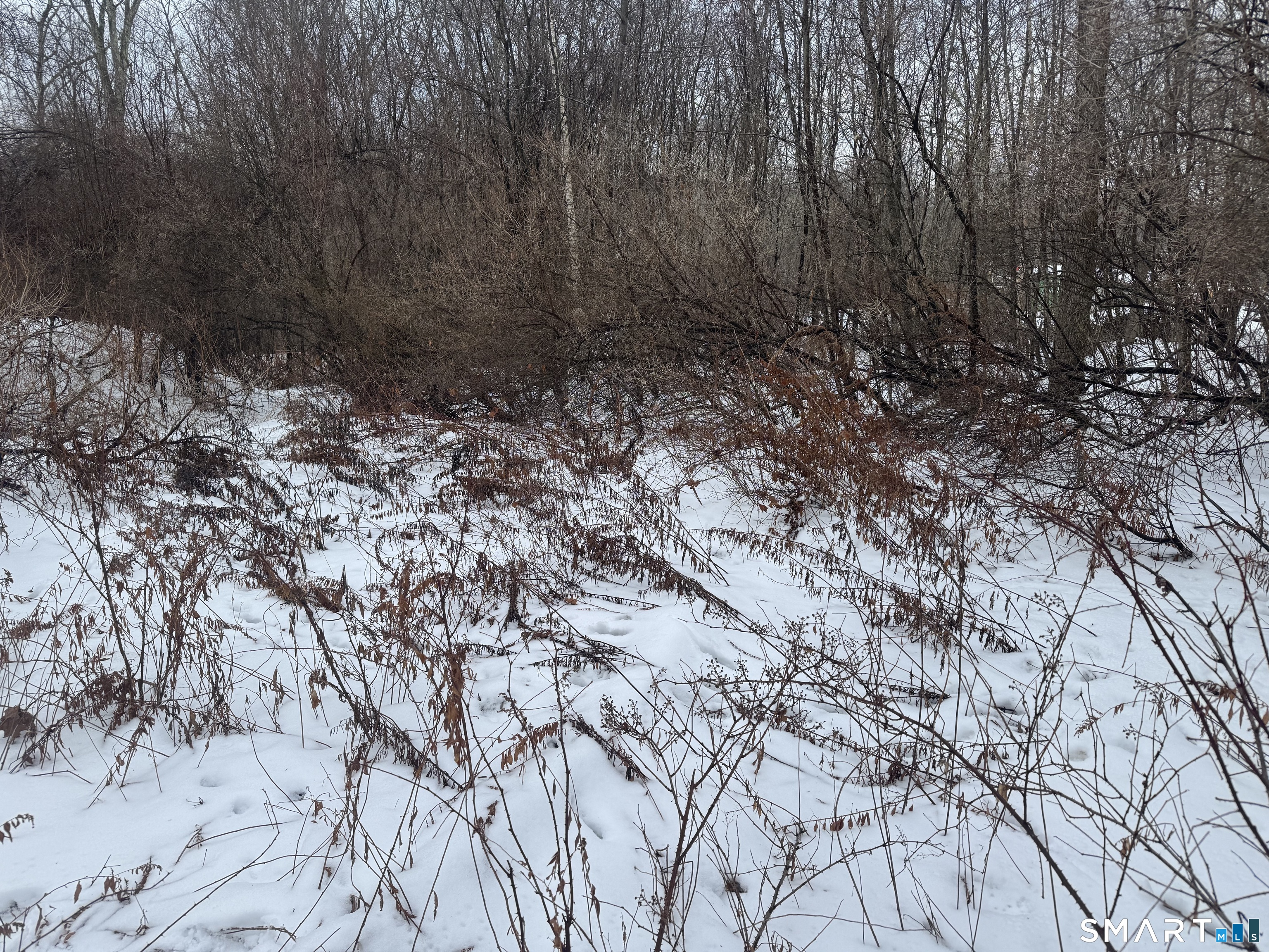 Homes for sale in Morris, CT | 262 Stoddard Rd, Morris, CT 06763 | MLS# 24147510